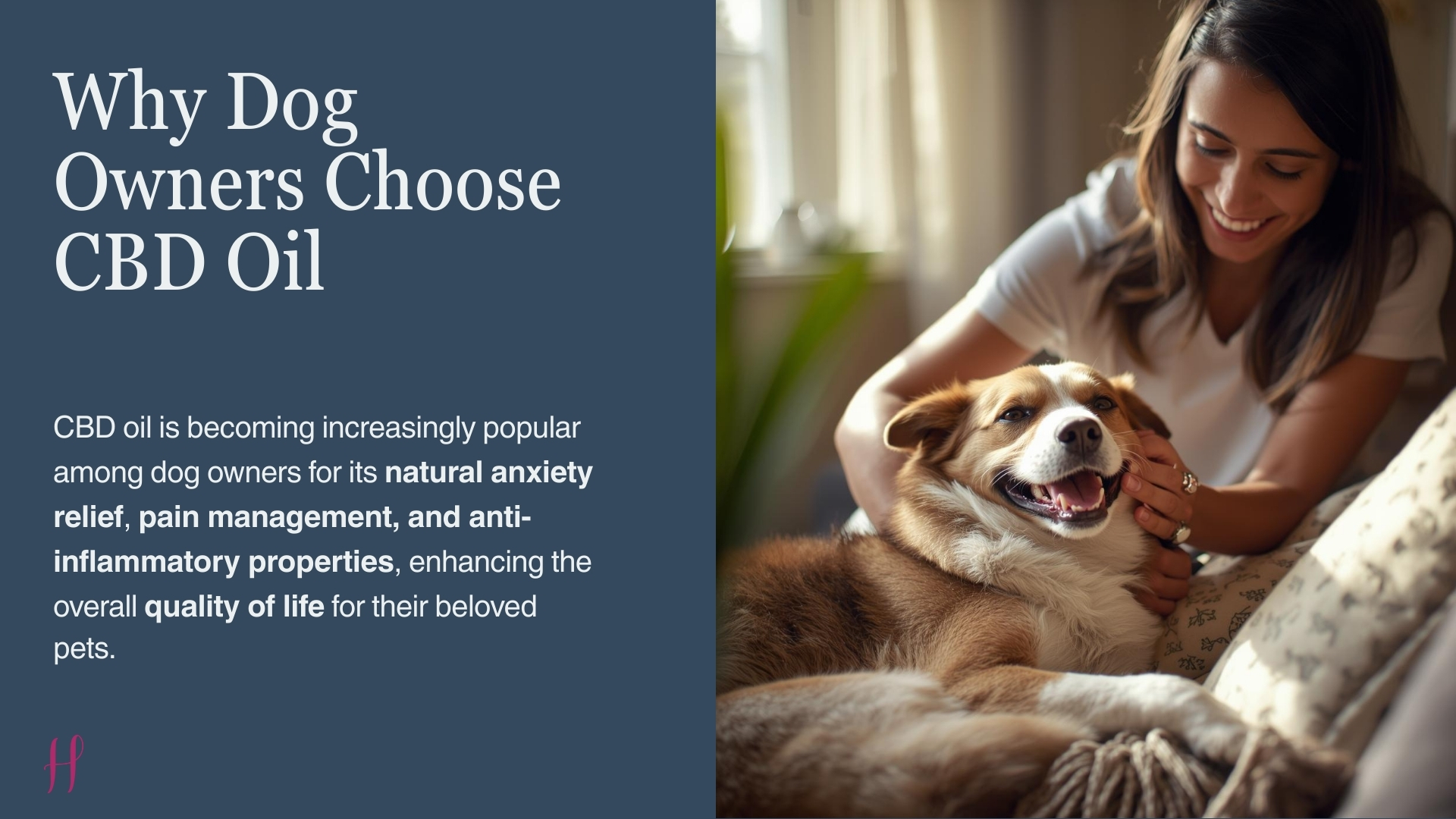 Why Are Dog Owners Choose CBD oil?